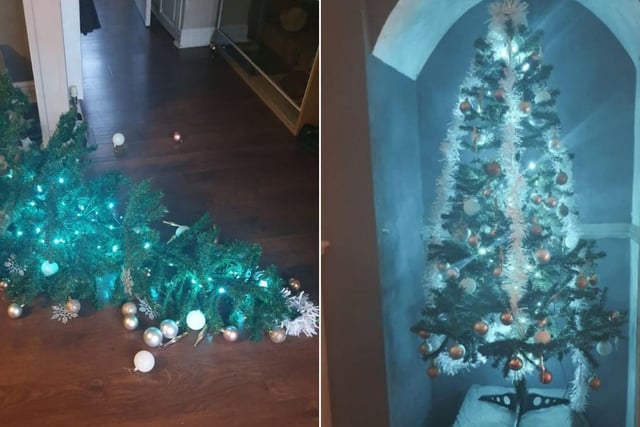 Hayley Walker shared these two photos - "This is mine. Kittens knocked it over 5 times and i've rearranged it God knows how many times."