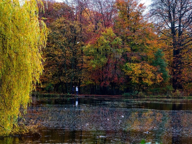 Three new cases were recorded in Roundhay Park and Slaid Hill in the seven days to December 1. It's a rate of 52.2 new cases per 100,000 people, down 66.7 per cent from the previous week.