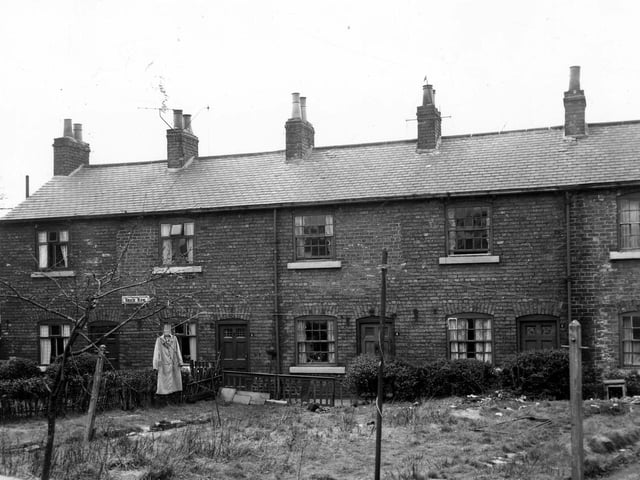 Houses on Brick Row pictured in March 1966. Properties have gardens to the front with back doors opening onto a small pathway to the rear. They were included in slum clearance plans for the Green Road area.