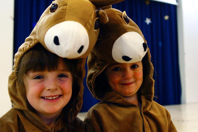 Two little donkeys prepare for their part in The Little Donkey Nativity Play at WGHS in 2004.