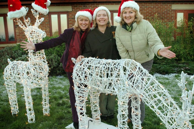 St Catherine’s Hospice have been donated a set of lighted animals by Rusbridge Jewellers on Huntriss Row.