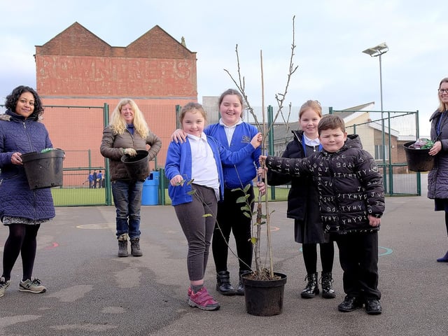 Fruit trees were donated to the school to improve the diet of children and aid their learning.