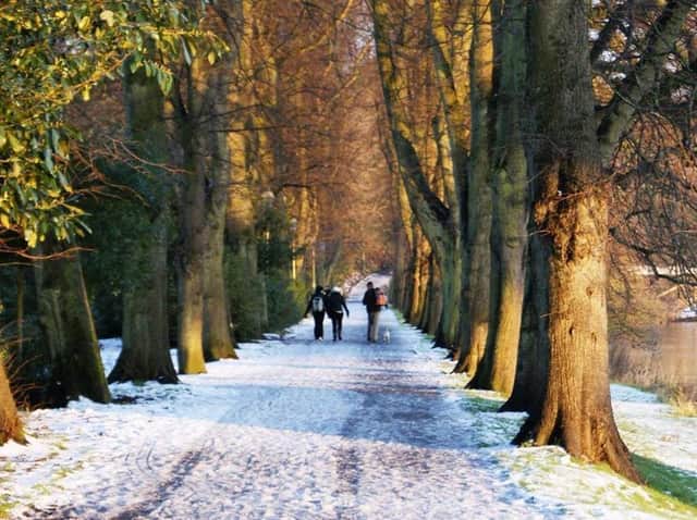 Boxing Day is the perfect time to head outdoors to shake off the excesses of the day before