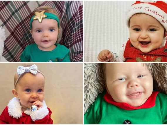 The first Christmas for all the little crackers in our gallery !