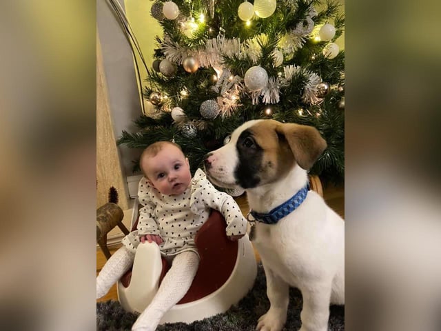 Ava Mae, aged 5 months
