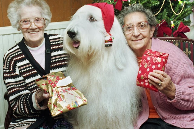 WIGAN - RETRO - Santa Claws is Hector the theraputic dog, a friendly comfort to residents in Farmoor residential home, Orrell, at Christmas in December 1995.