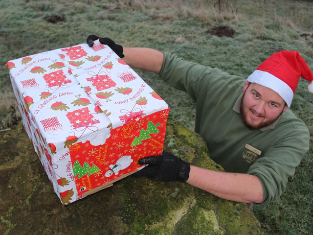 The bears gifts did not disappoint as they received a special festive fish mixture with an additional sprinkling of their favourite cod liver oil.