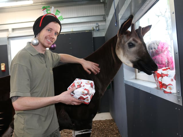 Debbie Porter, Animal Manager, of the park at Branton, near Doncaster, said: “Christmas is a special time for everyone, even this year, but our dedicated staff will be here caring for the animals as they do all year round.