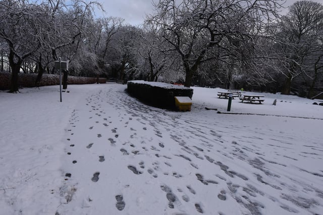 A snow-covered pathway to Haigh Woodland Park.