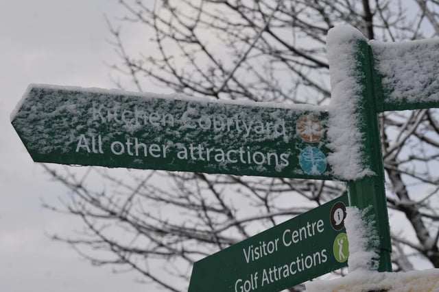 Snow-covered signs at Haigh Woodland Park.