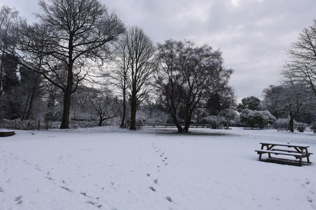 A winter scene at Haigh Woodland Park