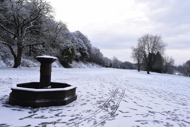 A snowy scene at Haigh Woodland Park