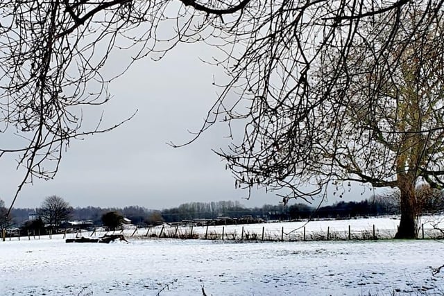 Snow scene sent in by Jean Hensey-Reynard.