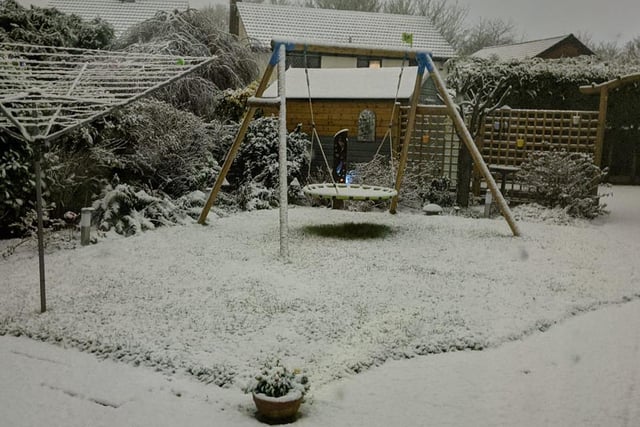 Frances Dine shared this shot of the snow