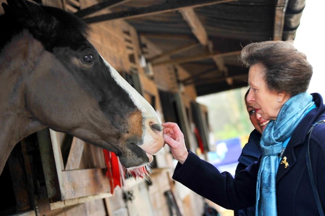 JANUARY - I covered a royal visit, as HRH Princess Anne, vice patron of The British Horse Society, visited Parbold Equestrian Centre to meet young people enrolled in the Changing Lives through Horses scheme.   Royal visits are quite strict, the media are told where to stand, not to shout and subjects won't pose for photographs.  The event was a whirlwind of excitement for the staff, volunteers and local children who were at the event.  I heard some children chatting and they were too excited to meet a real-life princess.