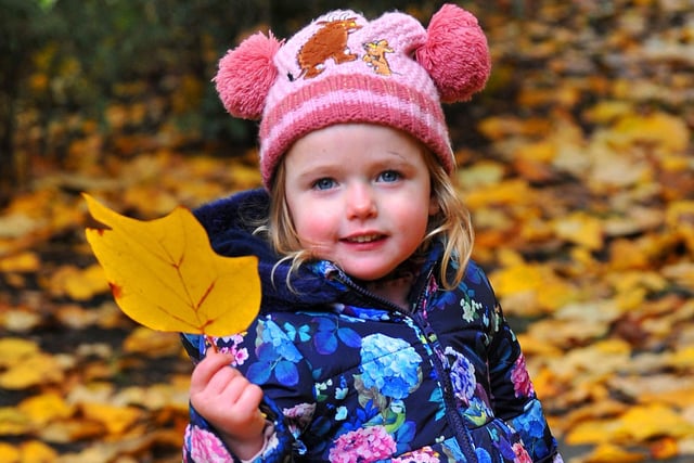 OCTOBER - If I have some time in between jobs, I some times go for a walk to capture the beautiful surroundings in Wigan.   Here is an autumnal scene as Olivia Aspey, three, enjoys the colours of the autumn leaves at Haigh Woodland Park.