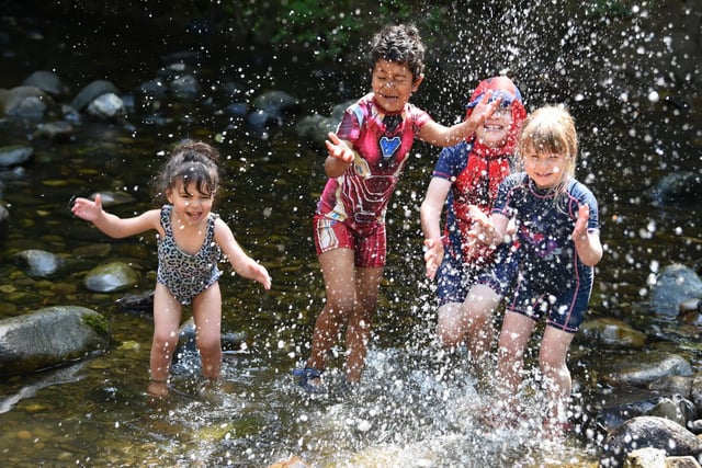 Fun in the sun at Brock Bottoms Taylah, Luqmaan, Charlie and Ellie
