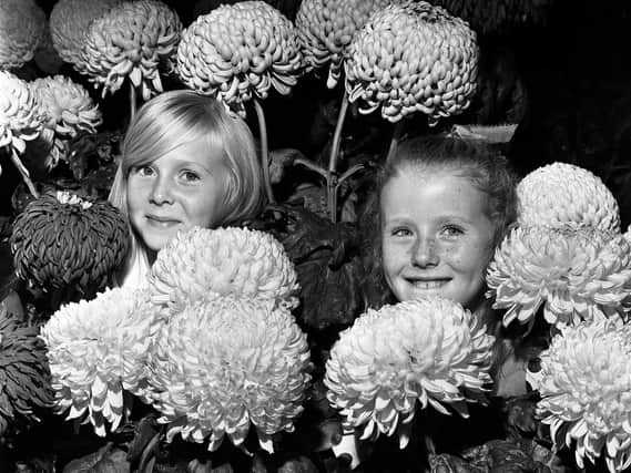 Orrell annual  flower and vegetable show in 1973
