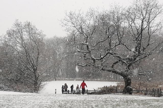A winter wonderland in Worden Park, Leyland