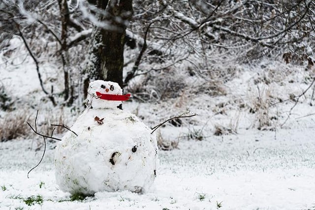 This snowman was left delighted by its creators