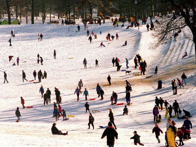 Families enjoyed sledging in Roundhay Park.