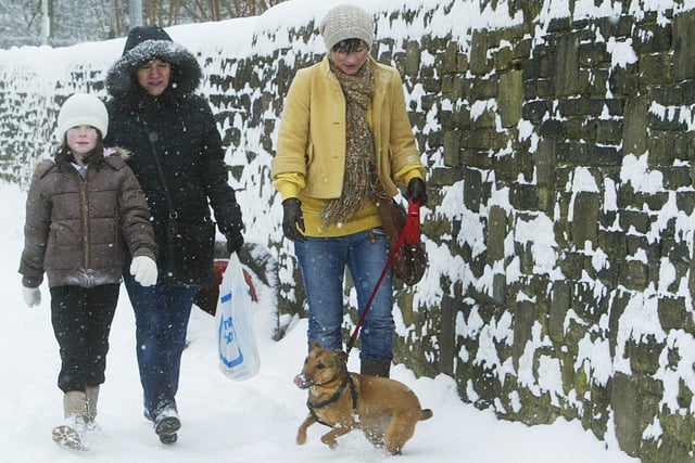 Snowy dog walk in Boothtown back in 2009.