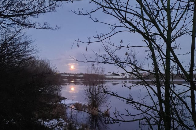 The 'Cold Moon' at Ardsley Reservoir - Taken by Michelle Fiedler