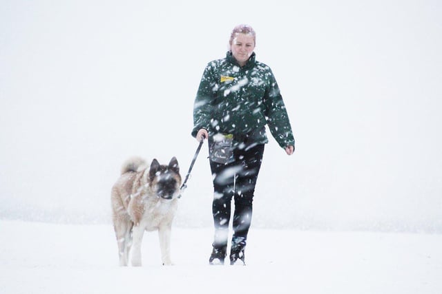 Dogs Trust Leeds said their animals were loving the snow (photo: Dogs Trust Leeds).
