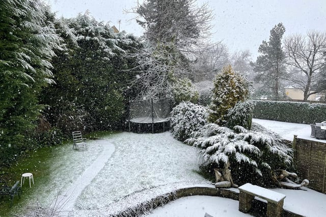 An Alwoodley garden sprinkled with snow.
