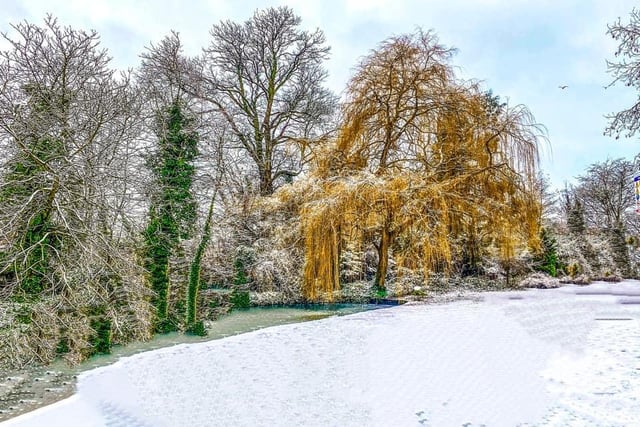 Debby Pickering saw a blanket of snow fall over Thornes Park.