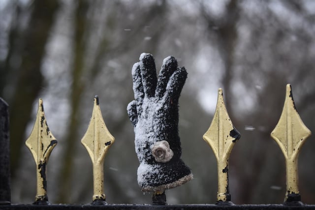 A glove left on the gates of Stanley Park