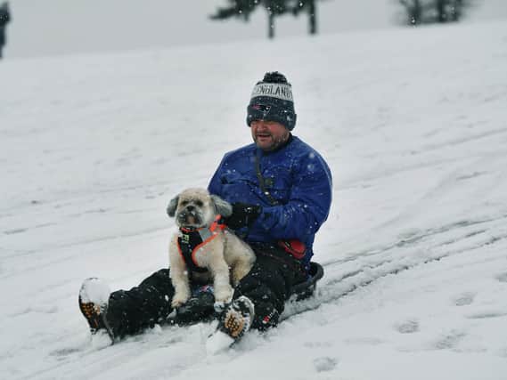 Darren Bennett and his dog Wilbur have fun in the snow in Roundhay Park, Leeds