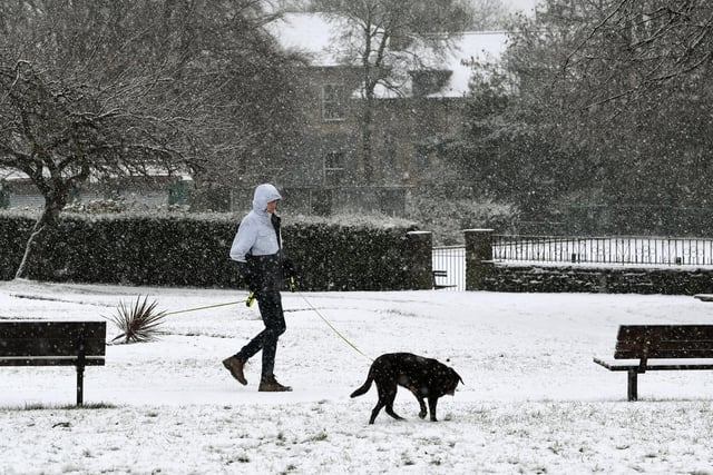 A dog walker in Pudsey Park