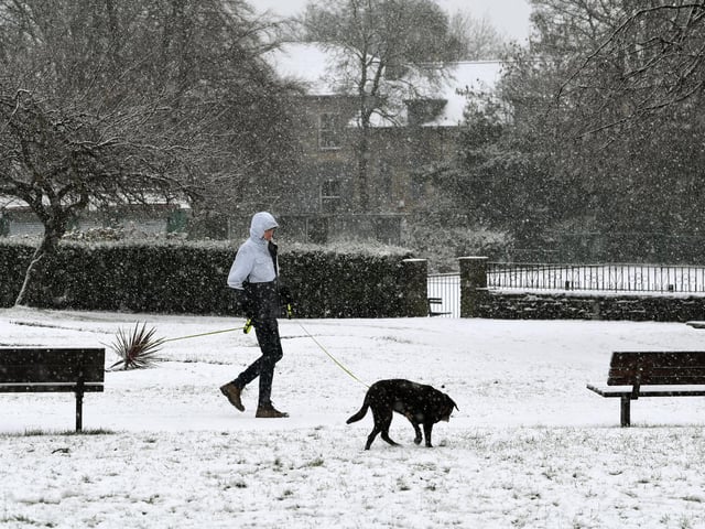 A dog walker in Pudsey Park