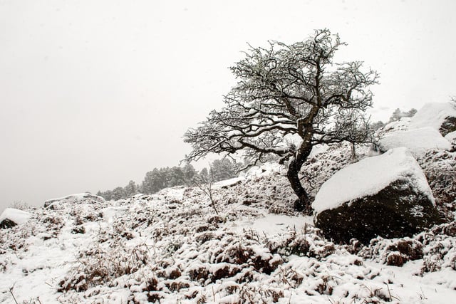 A snowy scene on Ilkley Moor