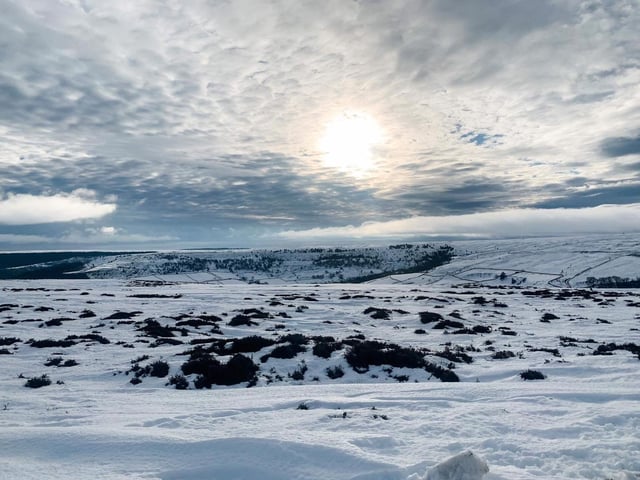The white blanket made everywhere clean and fresh