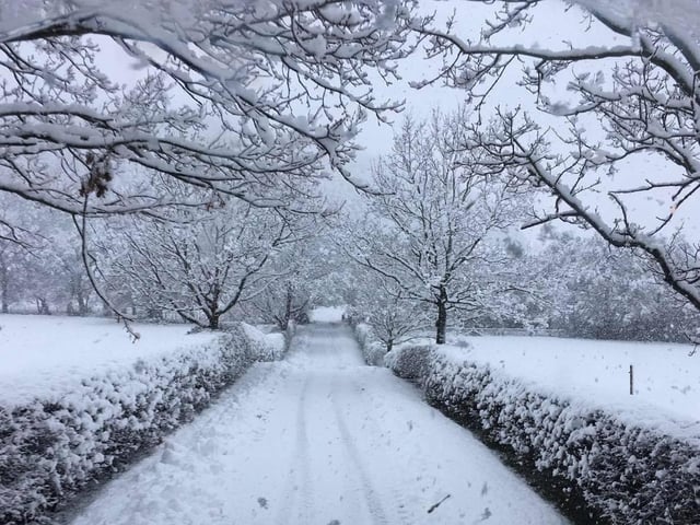 There's a road there somewhere....