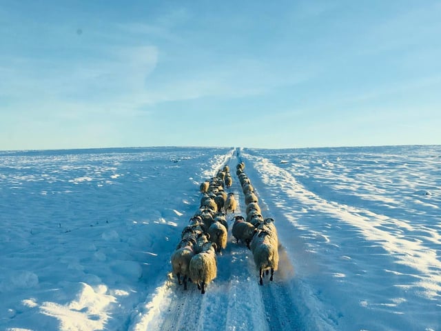 Making the most of the cleared path