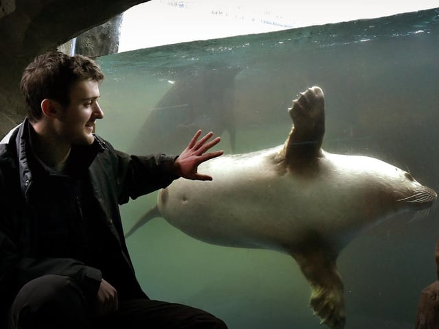 Jordan Woodhead says hello to one of the seals