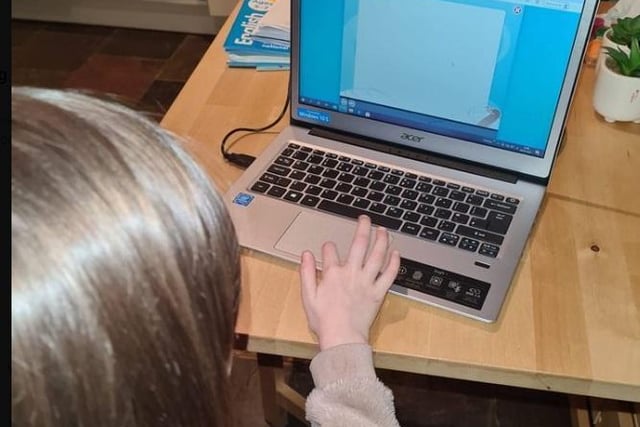 Danielle Wilby said: "My 5 year old loving using a laptop. The site school uses to upload work has crashed today so she's been doing some books my husband ordered from Amazon for her."