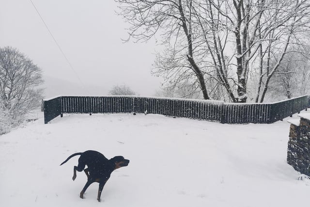 Snowy scenes by Gary Lawson