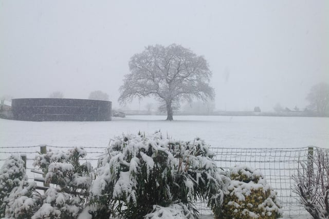 Winter wonderland in Killinghall, sent in by Susan Bollon