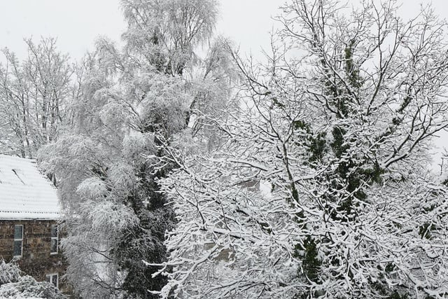 A snowy scene in Harrogate, sent in by Dr Roger Litton
