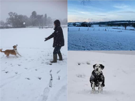 18 of your super snowy pictures from across Harrogate District
