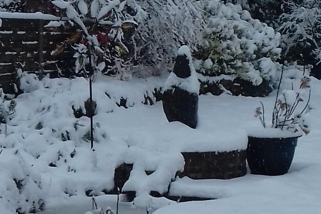 A snowy scene sent in by Tony and Jean Knopp