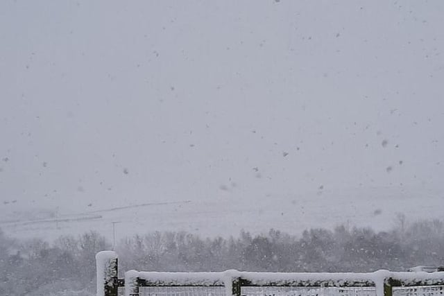 Snowy scene, sent in by Joanne Brydon