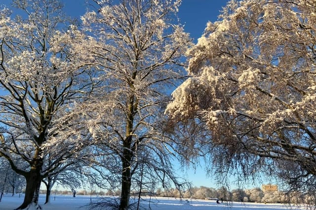 Winter scene, sent in by Harriet Rose