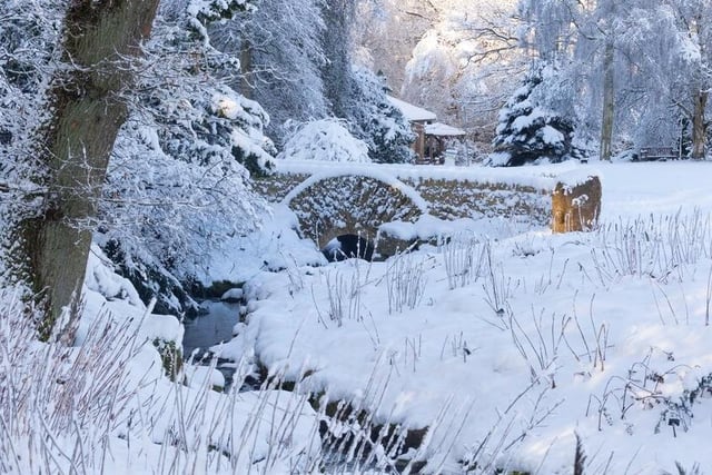 A stunning image from the RHS Harlow Carr Gardens which were forced to close due to the heavy blizzards.