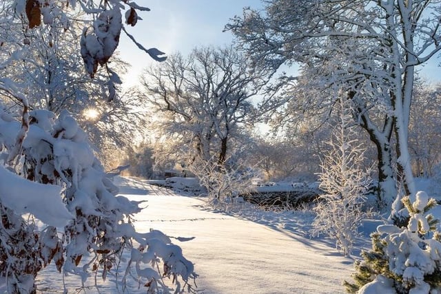 The RHS Harlow Car Gardens were closed on Thursday due to the heavy snow.