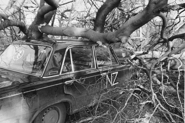 The occupants of this car escaped unhurt when a tree crashed on to the vehicle on York Road in December 1974.